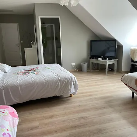 Les Jardins D Isaac Etage 16 Personnes 4 * Λε Μανς